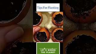 Expert Planting Tips for Beginners – Get Plants to Flourishplanting gardening shorts all2share [upl. by Annodas145]