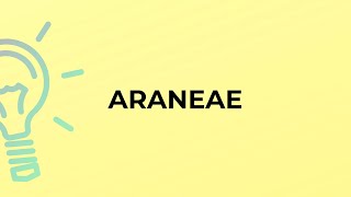 What is the meaning of the word ARANEAE [upl. by Pass]