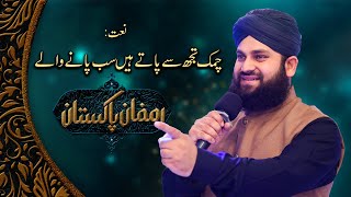 Chamak Tujhse Paate Hain Paane Wale  New Naat 2023  Ahmad Raza Qadri  PTV Home [upl. by Urquhart]