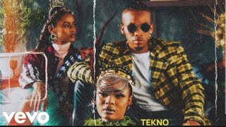 Tekno  Pay Official Video Edit [upl. by Simson]