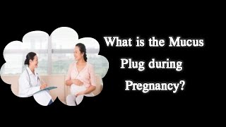 What is the Mucus Plug during Pregnancy [upl. by Idnac]