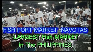 FISH PORT MARKET NAVOTAS CITY PHILIPPINES [upl. by Pate]