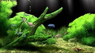 Dream Aquarium Virtual Fishtank 2 [upl. by Crysta798]