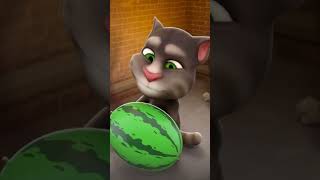 Talking Tom live 11 [upl. by Eidson]