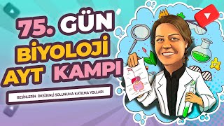 AYT KAMPI  12 SINIF  75 GÜN  BESİNLERİN OKSİJENLİ SOLUNUMA KATILMA YOLLARI [upl. by Cleti]