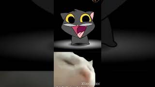 Scatman cute cat 2D and the Vibing Cat [upl. by Javler]