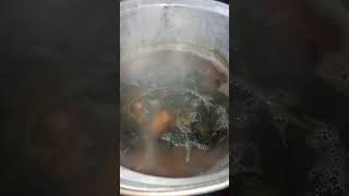 Cooking Monggo Soup monggo kalabasa talbosngkamote shortsvideo [upl. by Hnoj]