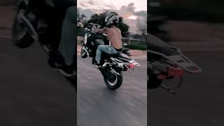 BMW Gs 1250 R wheelie 🔥shorts bmw 1250gs wheelie gs [upl. by Korenblat]