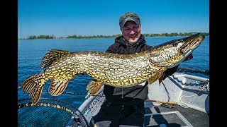 Kurbeln für das Müritz Monster  Hechte angeln im Freiwasser [upl. by Alli]