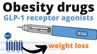 GLP1 receptor agonists – How weight loss injections work [upl. by Amalee]