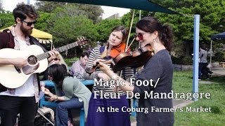 Fiddle tunes from Quebec Magic FootFleur de Mandragore [upl. by Knitter55]