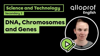 DNA Chromosomes and Genes Science and Technology  Alloprof [upl. by Leemaj188]