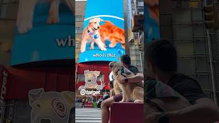 Showing my dogs their Times Square billboard [upl. by Fritzsche541]