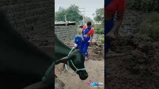 Holi song bhojpuri dewaru puchur puchur feke pichkari tohar rangholi video [upl. by Ainar192]