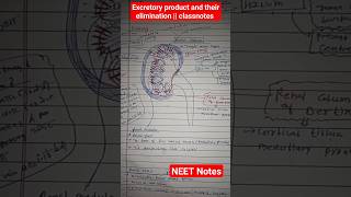 Excretory product and their elimination  classnotes ncert Class11  neetnotes [upl. by Nikal]