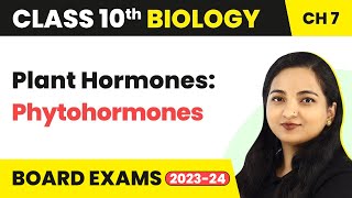 Plant Hormones Phytohormones  Control and Coordination  Class 10 Biology Chapter 7 [upl. by Mayor376]