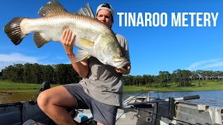 Tinaroo Fishing  Metre Barra on lures [upl. by Jurdi]