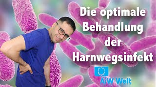 Die optimale Behandlung der HWIs in 3 Schritten [upl. by Supmart]