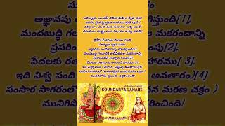 Soundarya Lahari  Avidyanam antastimiramihira [upl. by Towers21]