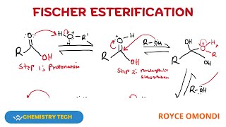 FISCHER ESTERIFICATION REACTION MECHANISM organicchemistry fischeresterification [upl. by Marceau]