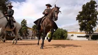 Royal Andalusian School of Equestrian Art [upl. by Rtoip]