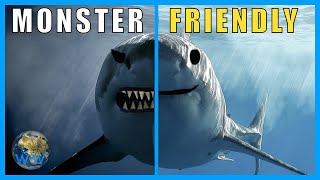 Are Sharks Monsters A response [upl. by Earb]