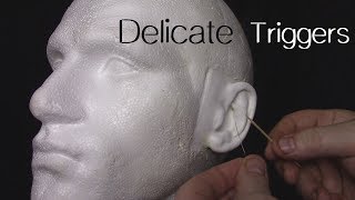 Delicate Triggers for Tingle Virgins ASMR [upl. by Yecaj720]