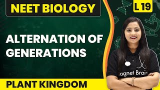 Alternation Of Generations  Plant Kingdom  L19 Concepts  NEET Biology [upl. by Anrapa995]