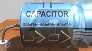 How Capacitors Work [upl. by Bushweller756]