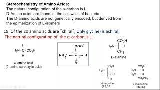 Classification of Amino acids by DR LALITHA GOWDA [upl. by Celestia50]