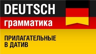 Прилагательные в датив Adjektive im Dativ Немецкая грамматика Урок 1431 Елена Шипилова [upl. by Najar]