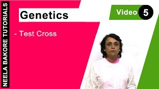 Genetics  Principles of Inheritance amp Variations  NEET  Test Cross  Neela Bakore Tutorials [upl. by Ahsikyw]