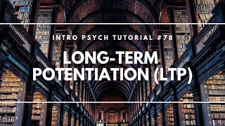 LongTerm Potentiation LTP Intro Psych Tutorial 78 [upl. by Nivi]