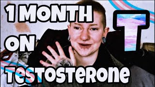 Iva 1 Month on Testosterone [upl. by Sebbie]