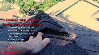 Prevent Pests from Getting Inside Your Home  Ridge Vent Installation [upl. by Haldan430]