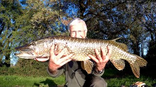 LUCCIO 90 CM pescando con la boa in movimento [upl. by Ytomit]