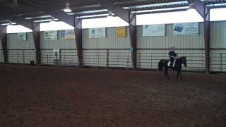 Gaited Dressage Clinic with Bucky Sparks [upl. by Idyh]