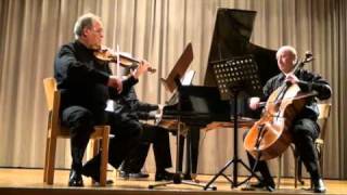 Mendelssohn Trio in D minor 2nd Movement [upl. by Nnahgaem]