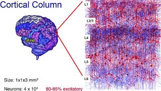 Dr Julijana Gjorgjieva  Dynamics of ratebased and spiking balanced random networks  CCCN 2017 [upl. by Noirrad]