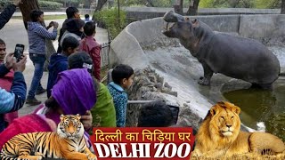 DELHI ZOO  दिल्ली का चिड़िया घर National Zoological Park  Series 02 [upl. by Nauhs]