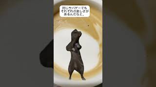 【猫ミーム】最近こんなことを考えている☕️shorts [upl. by Elicul]