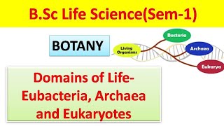 Domains of lifeEubacteria Archaea and Eukaryotes [upl. by Catina]