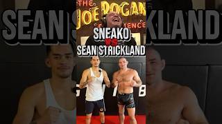 Joe Rogan on Sean Strickland smashing Sneako💀 [upl. by Aketal]