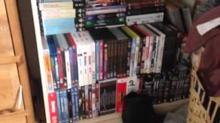 DVD and BluRay Collection Video [upl. by Enitsirhc]