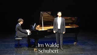 Im Walde D708 F Schubert  Seungwoo Sun 선승우 [upl. by Urania652]