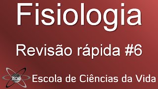 Revisão rápida de fisiologia 6 regulação da produção de estrógeno e progesterona [upl. by Bilbe]