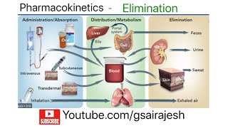 Elimination  Zero order amp First order kinetics  Urinary Acidification amp Alkalinization [upl. by Rimas]