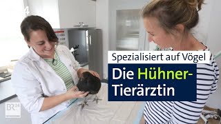 Eine Tierärztin speziell für Hühner und anderes Federvieh  Abendschau  BR24 [upl. by Rothenberg]