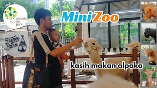 Kasih makan alpaka di mini zoo Teepee Barn Scientia Square Park [upl. by Aramoy858]