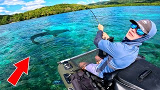 MONSTRE EXOTIQUE inattendu et ça devient violent  Pêche en Martinique en float tube [upl. by Monty681]